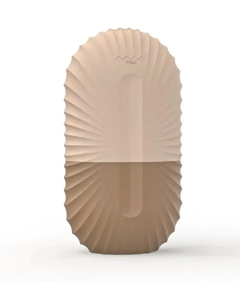 Facial ice mold