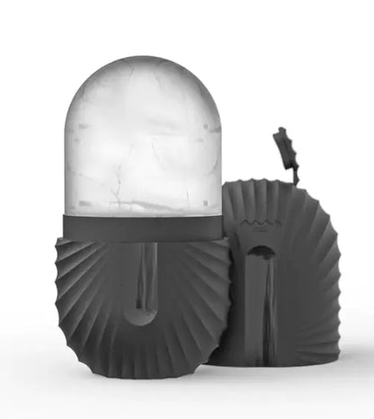 Facial ice mold